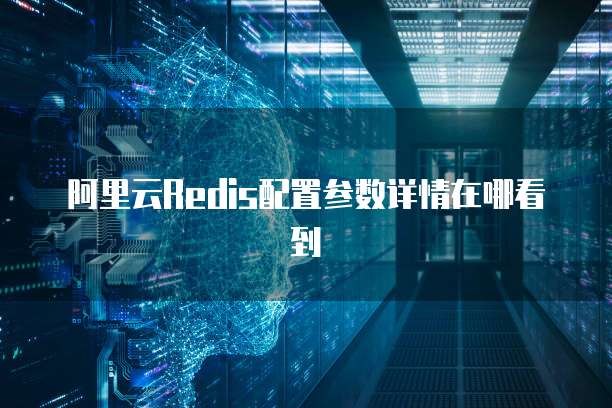 阿里云Redis配置参数详情在哪看到