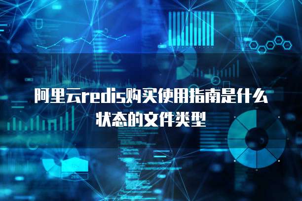 阿里云redis购买使用指南是什么状态的文件类型