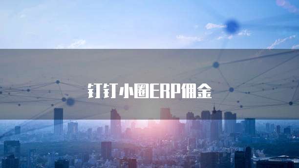 钉钉小圈ERP佣金