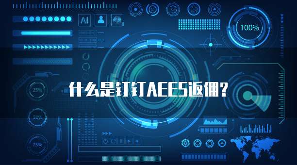 什么是钉钉AEES返佣？