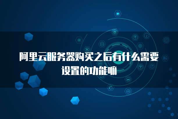 阿里云服务器购买之后有什么需要设置的功能嘛