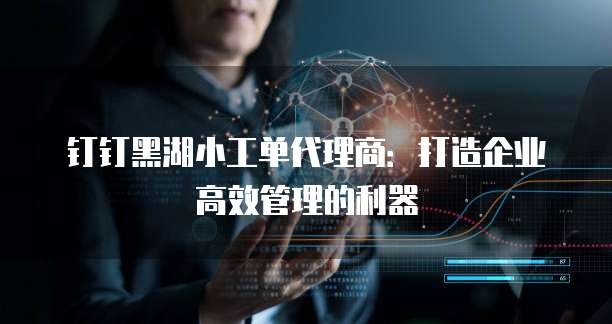 钉钉黑湖小工单代理商：打造企业高效管理的利器