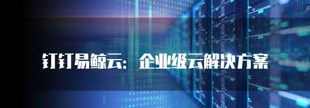 钉钉易鲸云:企业级云解决方案