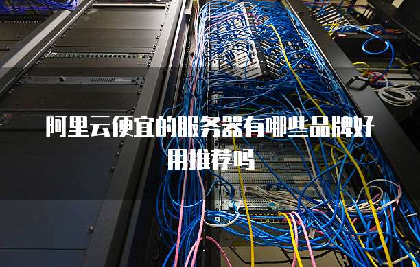 阿里云便宜的服务器有哪些品牌好用推荐吗