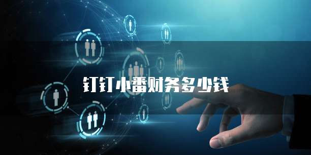 钉钉小番财务多少钱