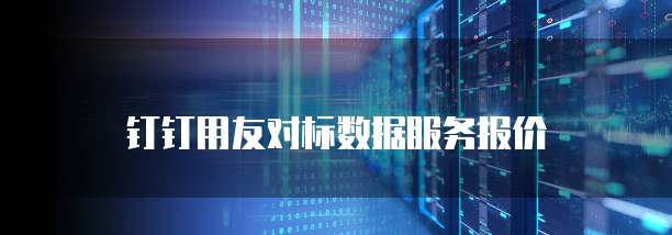 钉钉用友对标数据服务报价