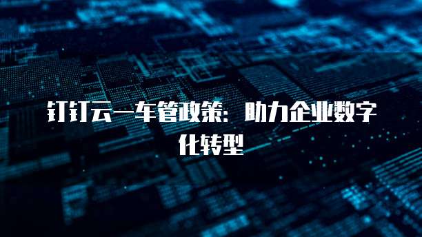 钉钉云一车管政策:助力企业数字化转型