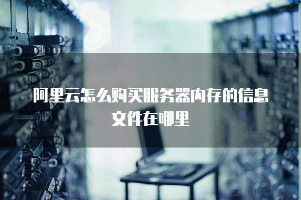 阿里云怎么购买服务器内存的信息文件在哪里