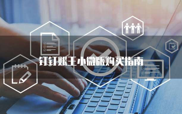 钉钉账王小微版购买指南