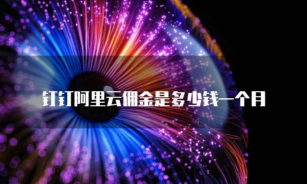 钉钉阿里云佣金是多少钱一个月