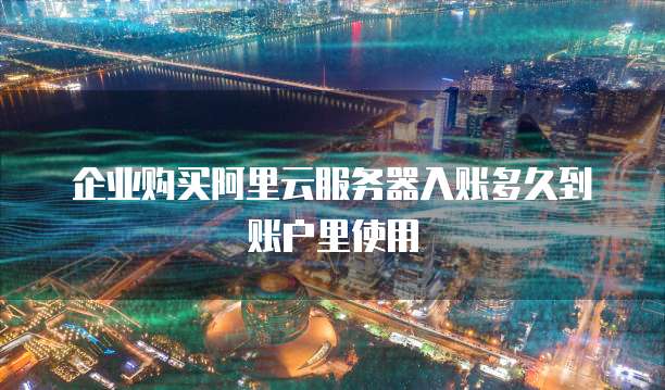 企业购买阿里云服务器入账多久到账户里使用