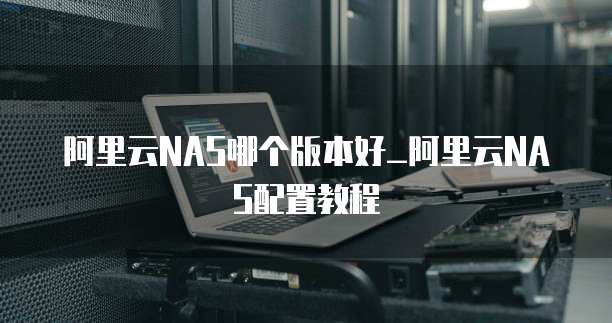 阿里云NAS哪个版本好_阿里云NAS配置教程