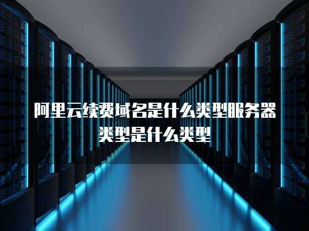 阿里云续费域名是什么类型服务器类型是什么类型