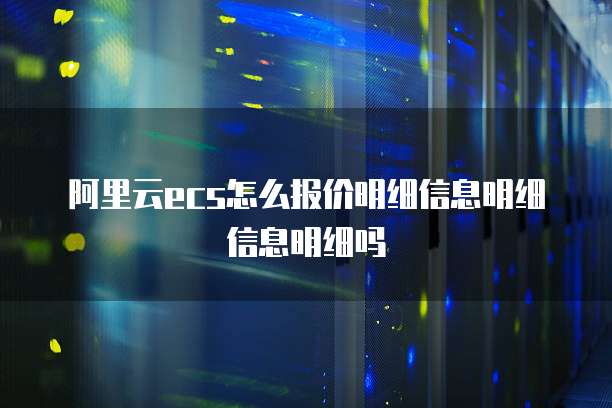 阿里云ecs怎么报价明细信息明细信息明细吗