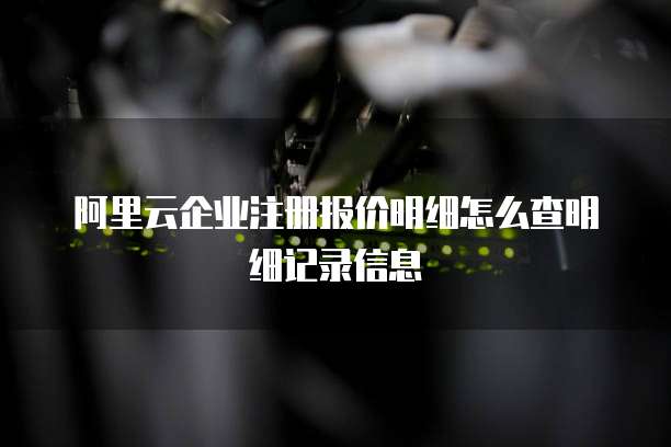 阿里云企业注册报价明细怎么查明细记录信息