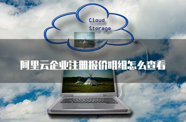 阿里云企业注册报价明细怎么查看