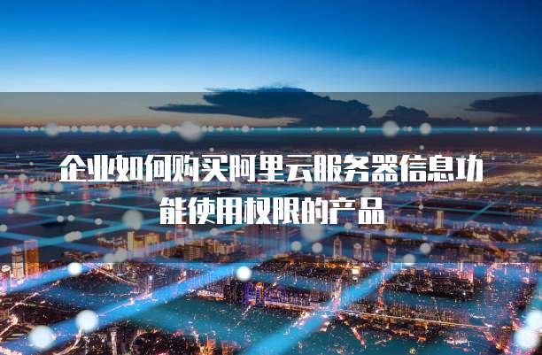 企业如何购买阿里云服务器信息功能使用权限的产品