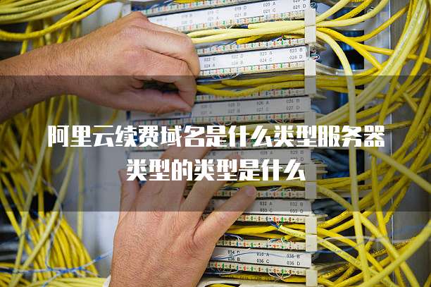 阿里云续费域名是什么类型服务器类型的类型是什么