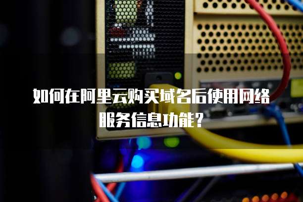 如何在阿里云购买域名后使用网络服务信息功能？