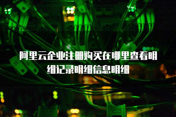 阿里云企业注册购买在哪里查看明细记录明细信息明细
