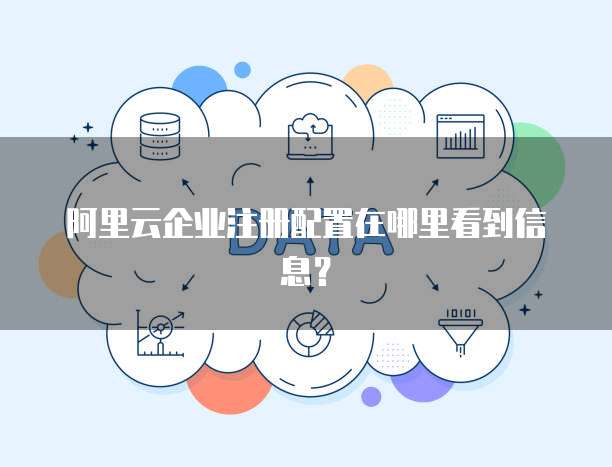 阿里云企业注册配置在哪里看到信息?