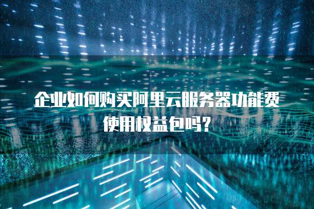企业如何购买阿里云服务器功能费使用权益包吗?
