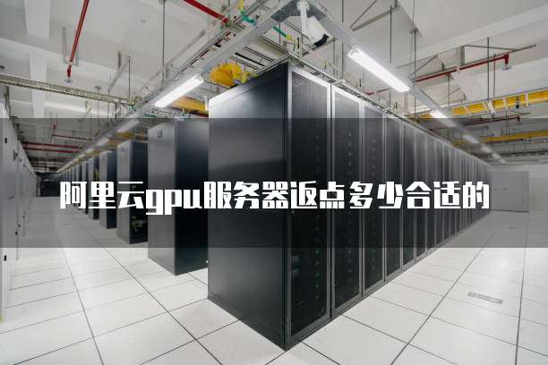 阿里云gpu服务器返点多少合适的
