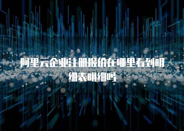阿里云企业注册报价在哪里看到明细表明细吗