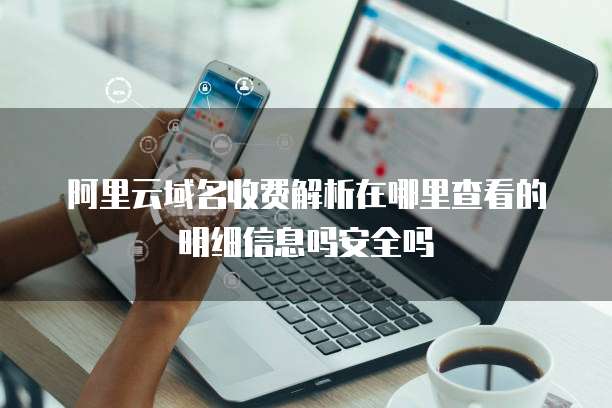 阿里云域名收费解析在哪里查看的明细信息吗安全吗