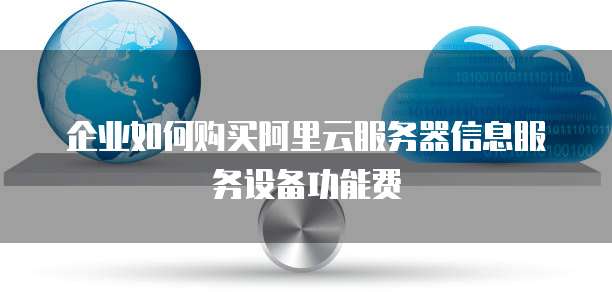 企业如何购买阿里云服务器信息服务设备功能费