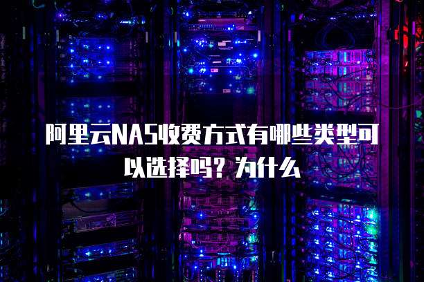 阿里云NAS收费方式有哪些类型可以选择吗?为什么