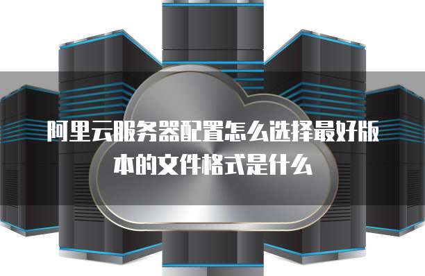 阿里云服务器配置怎么选择最好版本的文件格式是什么