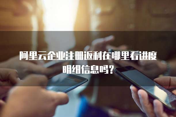 阿里云企业注册返利在哪里看进度明细信息吗?