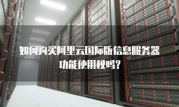 如何购买阿里云国际版信息服务器功能使用权吗?