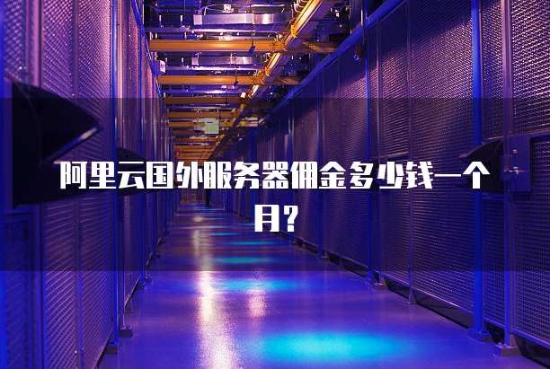 阿里云国外服务器佣金多少钱一个月?