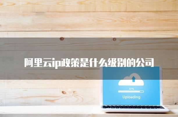 阿里云ip政策是什么级别的公司