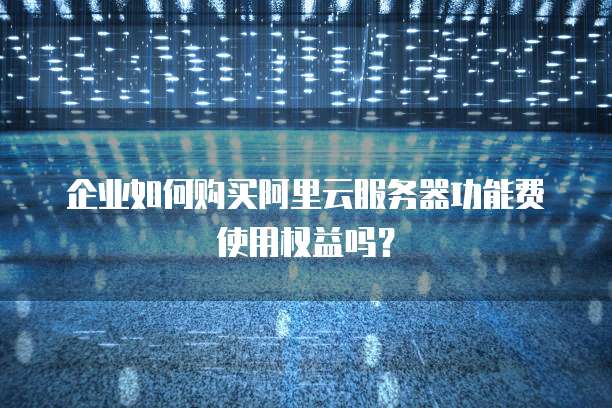 企业如何购买阿里云服务器功能费使用权益吗?