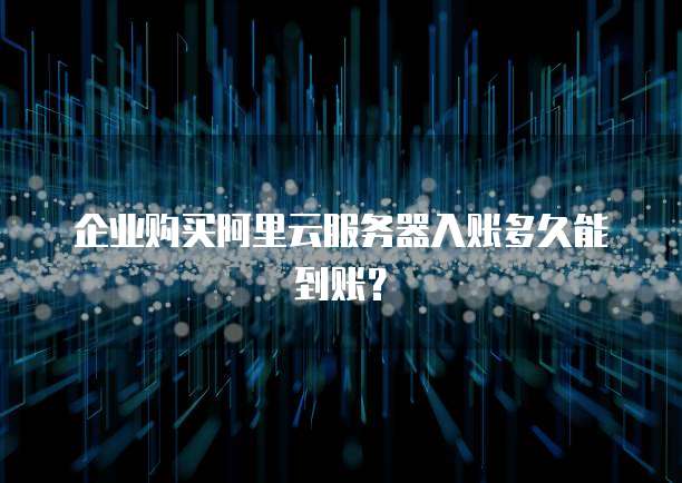 企业购买阿里云服务器入账多久能到账?