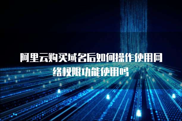 阿里云购买域名后如何操作使用网络权限功能使用吗