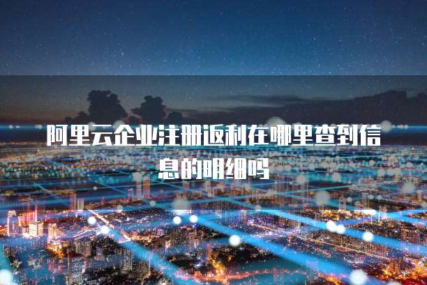 阿里云企业注册返利在哪里查到信息的明细吗
