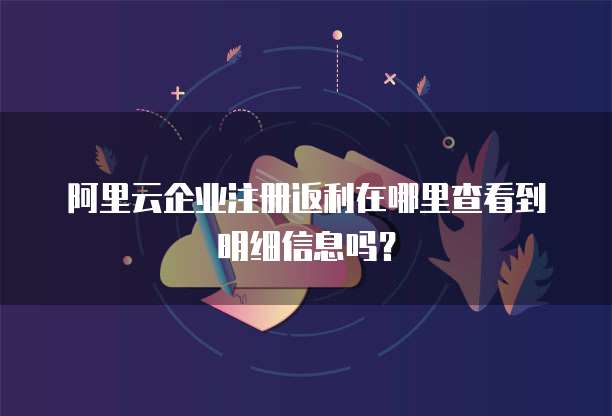 阿里云企业注册返利在哪里查看到明细信息吗?