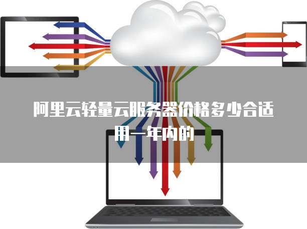 阿里云轻量云服务器价格多少合适用一年内的
