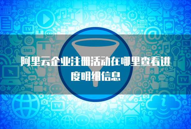 阿里云企业注册活动在哪里查看进度明细信息
