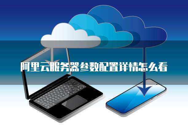 阿里云服务器参数配置详情怎么看