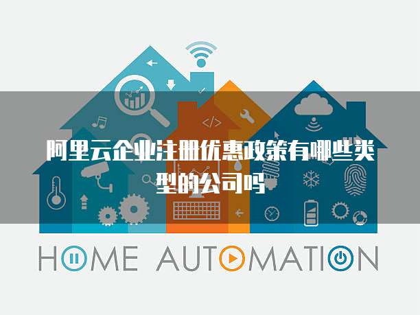 阿里云企业注册优惠政策有哪些类型的公司吗