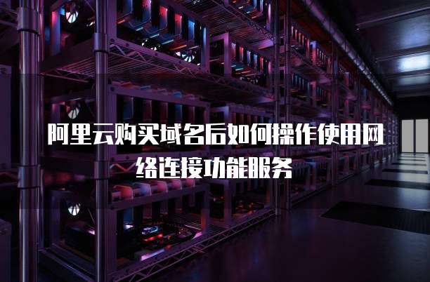阿里云购买域名后如何操作使用网络连接功能服务