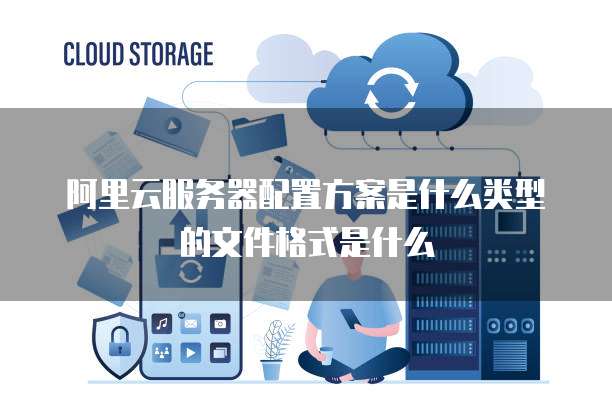 阿里云服务器配置方案是什么类型的文件格式是什么