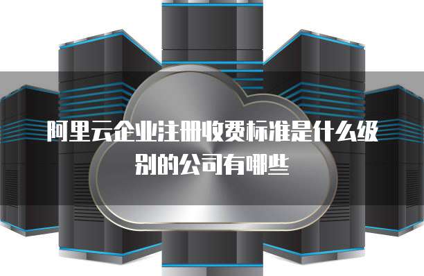 阿里云企业注册收费标准是什么级别的公司有哪些