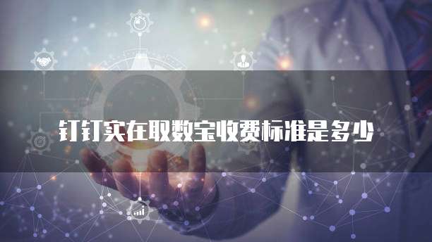 钉钉实在取数宝收费标准是多少
