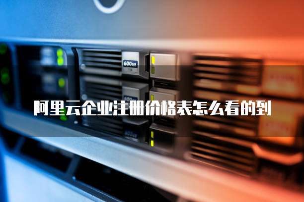 阿里云企业注册价格表怎么看的到